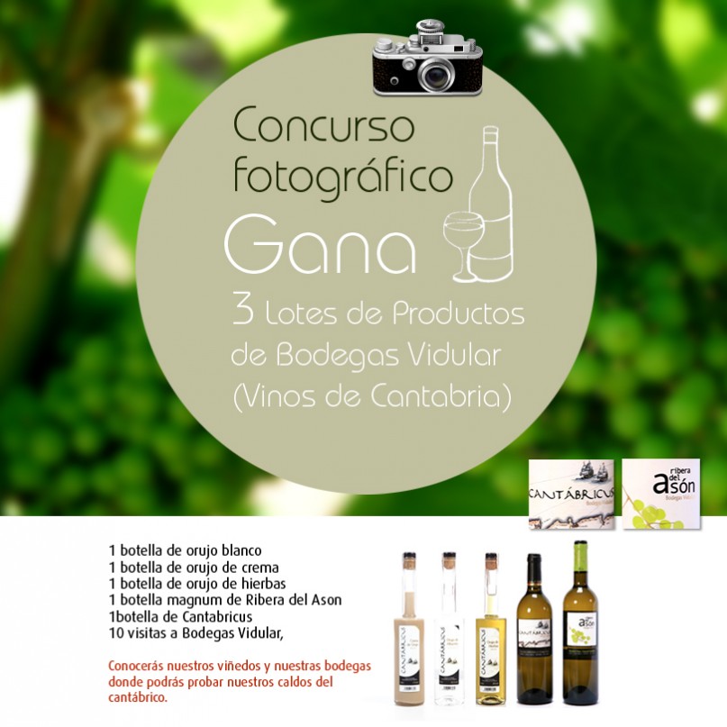 concurso fotográfico Bodegas Vidular