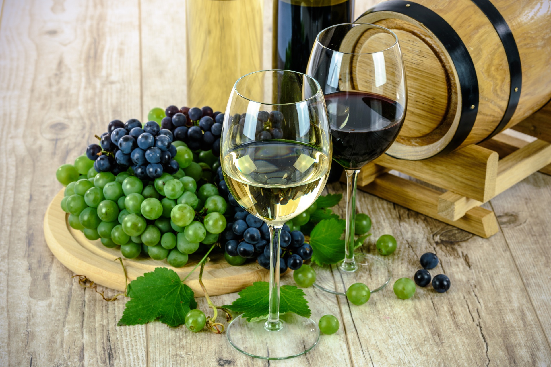 mejores vinos de cantabria