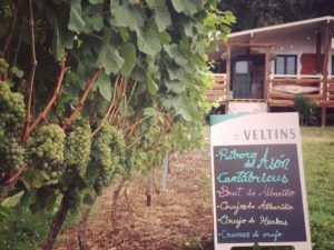 Bodegas Vidular. Enoturismo Cantabria