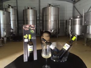 Bodegas Vidular. Enoturismo Cantabria