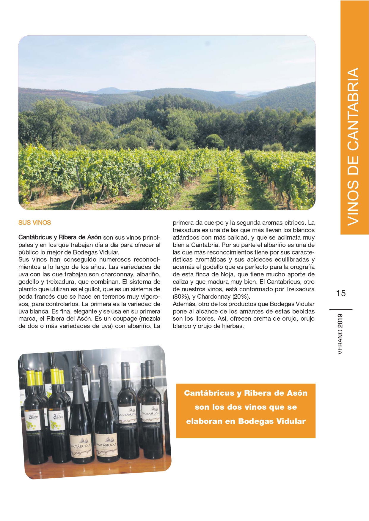 enoturismo en cantabria. Bodegas vidular