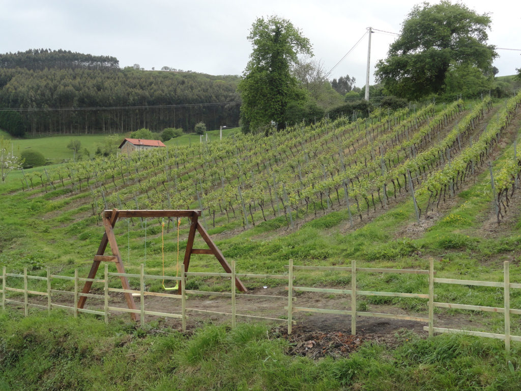 Alojamiento enoturismo cantabria