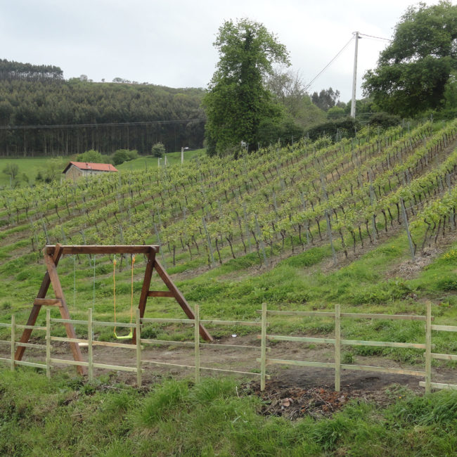 Alojamiento enoturismo cantabria