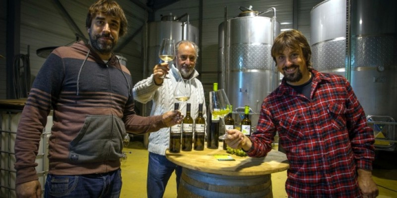 Bodegas Vidular. Enoturismo Cantabria