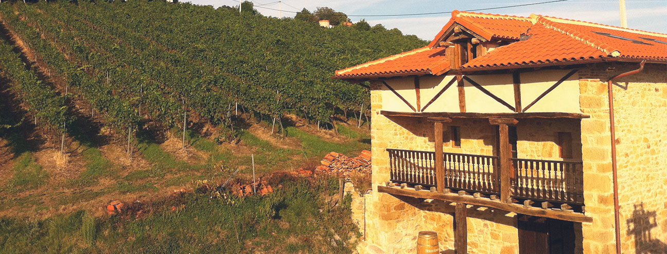 Enoturimo en Cantabria. Bodegas Vidular