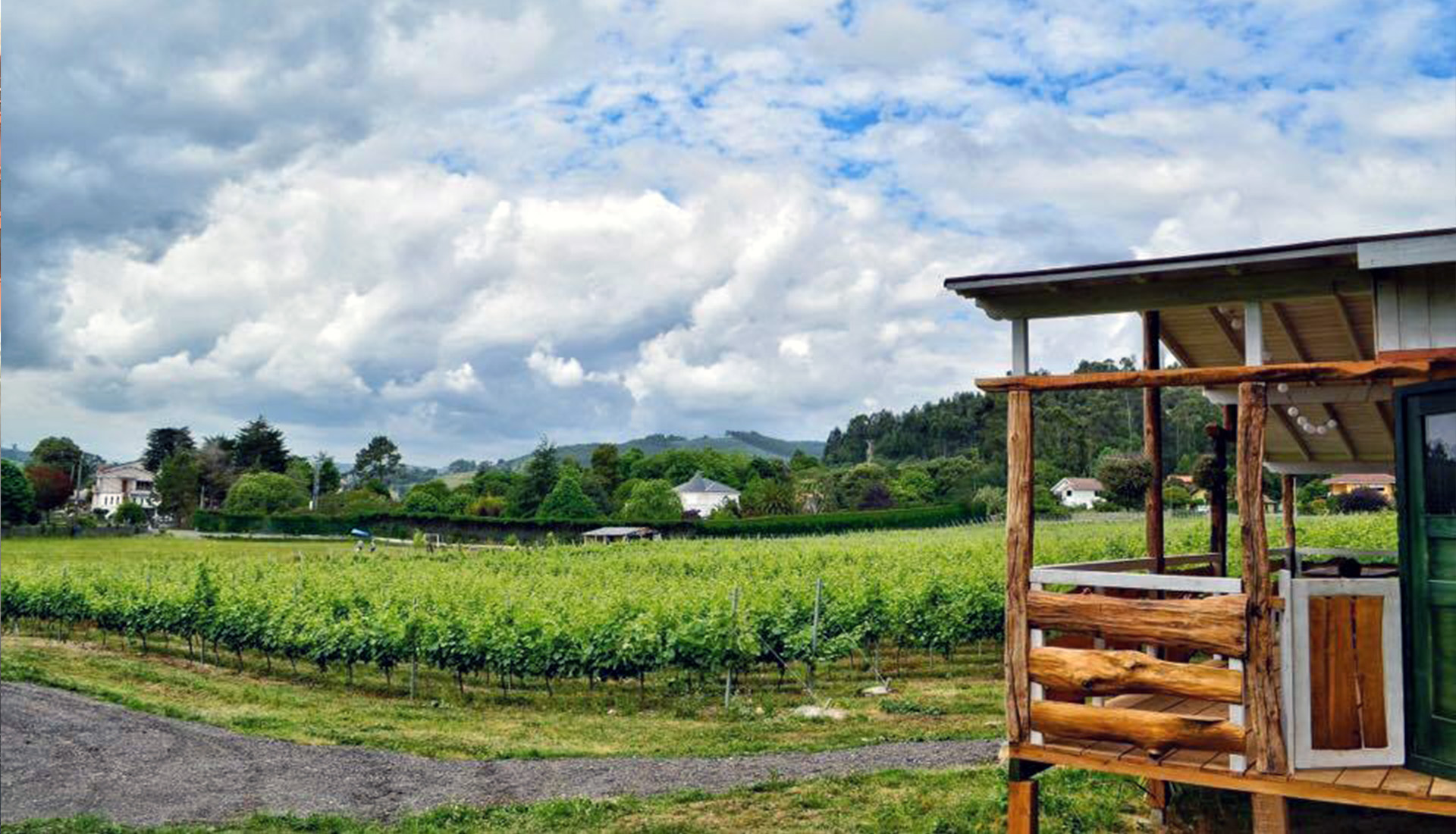 enoturismo en Cantabria