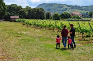 Enoturismo Cantabria Semana Santa. Bodegas Vidular