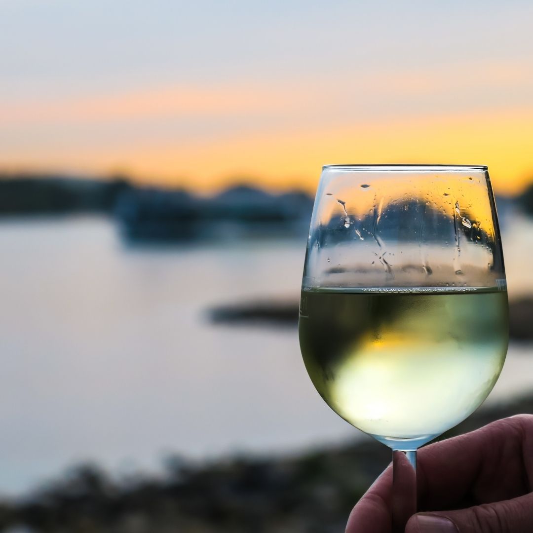 Enoturismo en Cantabria. Bodegas Vidular