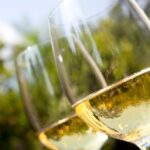 Enoturismo cantabria. Bodegas Vidular