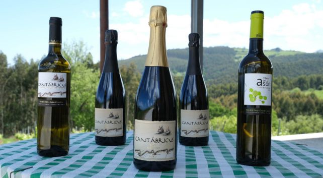 vinos cantabria. Bodegas Vidular