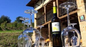 enoturismo en Cantabria Bodegas Vidular