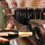 enoturismo en Cantabria Bodegas Vidular