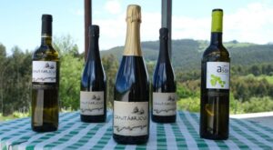 Enoturismo en Cantabria. Bodegas Vidular