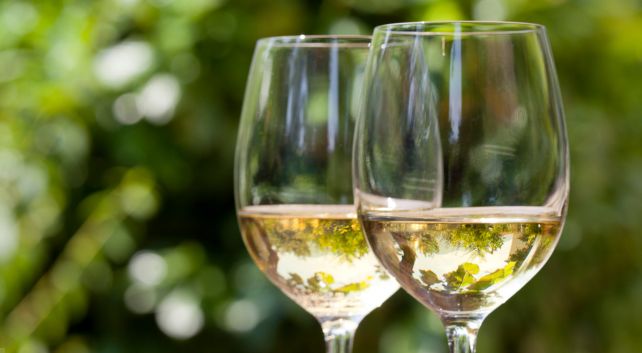 Vinos Blancos de Cantabria. Bodegas Vidular