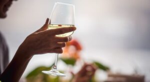 Vinos Blancos de Cantabria. Bodegas Vidular 