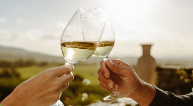 Ideas para un fin de semana en Cantabria Enoturismo en Cantabria. Bodegas Vidular