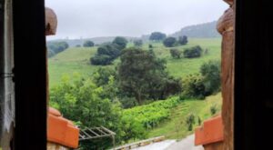Escapada en Viñedos: Enoturismo en Cantabria para Amantes del Vino y la Cultura Bodegas Vidular 