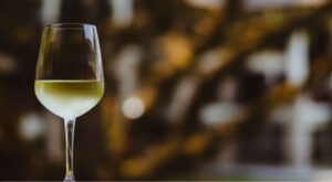 ¿Cómo elegir vino en un restaurante? Bodegas Vidular