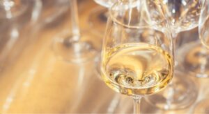 ¿Cómo elegir vino en un restaurante? Bodegas Vidular