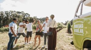 Wine trucks en eventos Bodegas Vidular