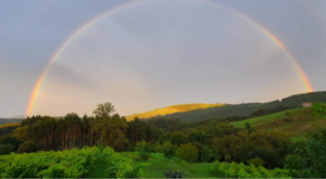 actividades relajantes en la naturaleza de Cantabria Bodegas Vidular