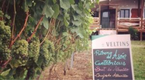 rutas y enoturismo en Cantabria Bodegas Vidular
