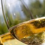 Cómo identificar sabores y aromas en catas de vino Bodegas Vidular