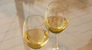 Cómo identificar sabores y aromas en catas de vino Bodegas Vidular